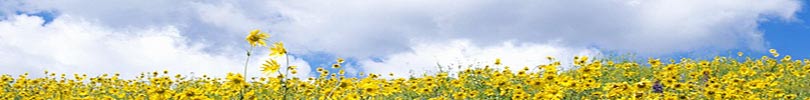 Articles theme image
